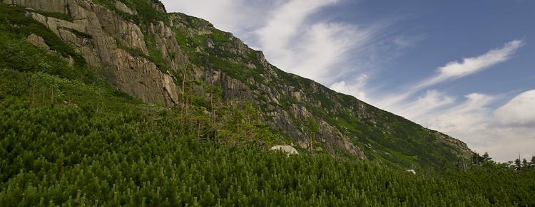 Karkonosze (fot. Jerzy Majdan).