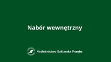 nabór wewnętrzny