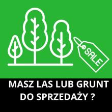 Nabywamy lasy i grunty przeznaczone do zalesienia