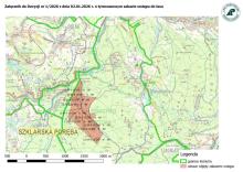 Okresowy zakaz wstępu do lasu