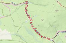 Tymczasowe utrudnienia na szlaku niebieskim w Leśnictwie Kamienno